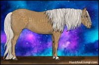 Horse Color:Silver Smoky Black 