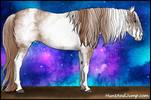 Horse Color: White Spotted Chestnut 