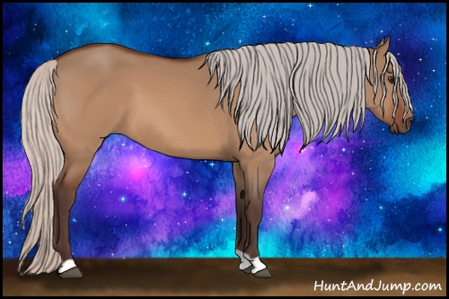 Horse Color: Silver Brown Dun 