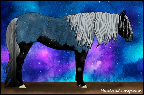 Horse Color: Unknown 