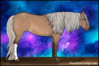 Horse Color:Silver Bay Dun 