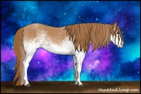 Horse Color:White Spotted Red Roan 