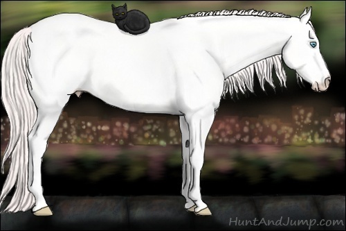 Horse Color: White Spotted Perlino Dun Tobiano Rabicano 