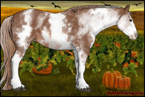 Horse Color: White Spotted Chestnut 