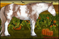 Horse Color:White Spotted Chestnut