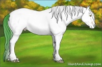 Horse Color:Watercolor White Spotted Amber Champagne 