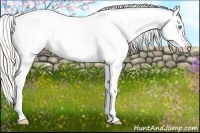 Horse Color:Silver Amber Cream Champagne Dun Blanket 