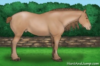 Horse Color:Brown Pearl