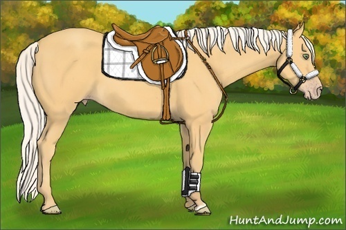 Horse Color:Silver Amber Cream Champagne