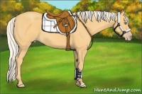 Horse Color:Silver Amber Cream Champagne 