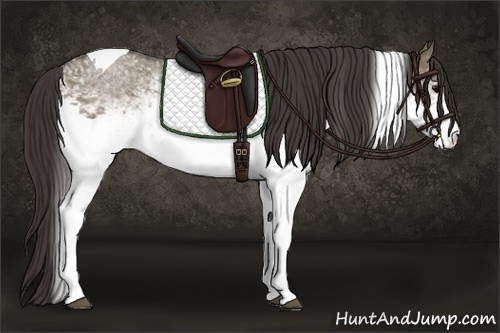Horse Color: White Spotted Smoky Grullo Tobiano 
