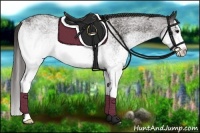 Horse Color:White Spotted Smoky Black Splash 