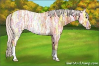 Horse Color:Silver Bay Ice Roan 