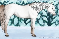 Horse Color:Gray Chestnut 