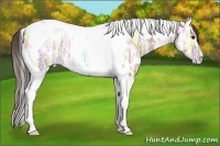 Horse Color:White Spotted Classic Champagne Ice Tobiano 