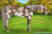 Horse Color:Chocolate Palomino Ice 