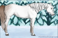 Horse Color:Gray Red Roan 