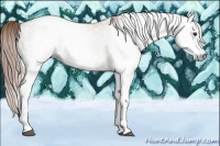 Horse Color:Gray White Spotted Chestnut Tobiano 