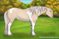 Horse Color:Silver Sable Champagne Dun Tobiano Rabicano 