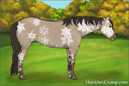 Horse Color: Liver Red Dun Ice 