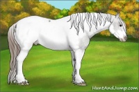 Horse Color:Grullo Tobiano Frame Blanket Rabicano 