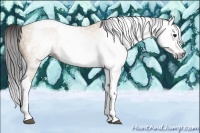 Horse Color:Gray Bay Dun Splash Tobiano Frame Rabicano 