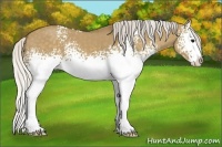 Horse Color:White Spotted Silver Smoky Grullo Splash 