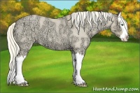 Horse Color:Gold Cream Champagne Ice Roan Dun Splash 