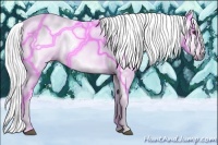 Horse Color:Gray Chestnut 