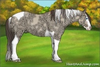 Horse Color:Amber Champagne Ice Dun Splash Tobiano 