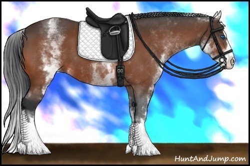 Horse Color: White Spotted Brown Splash 