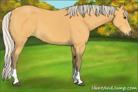 Horse Color:Silver Buckskin Tobiano 