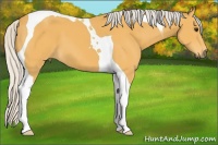 Horse Color:Silver Buckskin Tobiano
