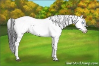 Horse Color:Black Frame 