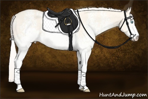 Horse Color: White Spotted Cremello Dun Sabino 