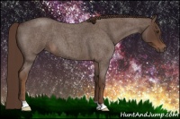 Horse Color:Liver Red Roan 