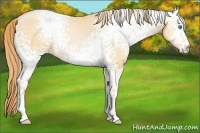 Horse Color:White Spotted Smoky Black Pearl 