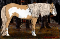 Horse Color:Palomino Frame 