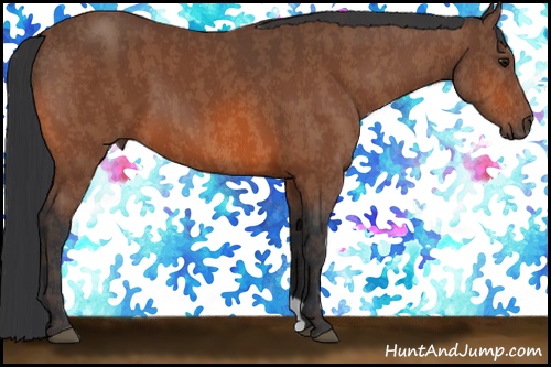 Horse Color: Bay  Brindle