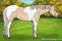 Horse Color:Silver Bay Dun Tobiano