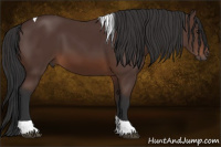 Horse Color:Brown Tobiano 
