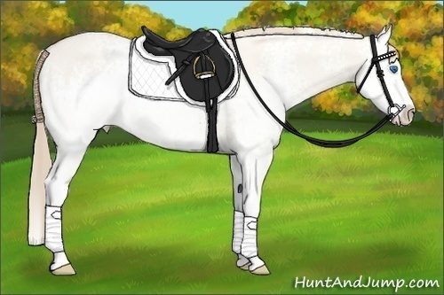 Horse Color: White Spotted Perlino Dun Splash 