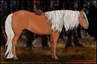 Horse Color:Silver Bay 