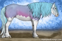 Horse Color:Watercolor Bay Splash 