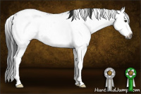 Horse Color:Gray Smoky Black Sabino