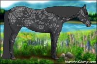 Horse Color:Black Ice 