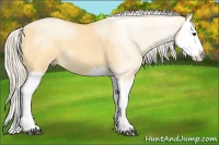 Horse Color:Palomino Dun Splash