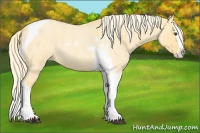 Horse Color:Palomino Roan Dun Splash Tobiano