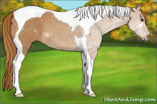 Horse Color: ERROR: UNKNOWN ANOMALY