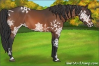 Horse Color:Brown Ice 